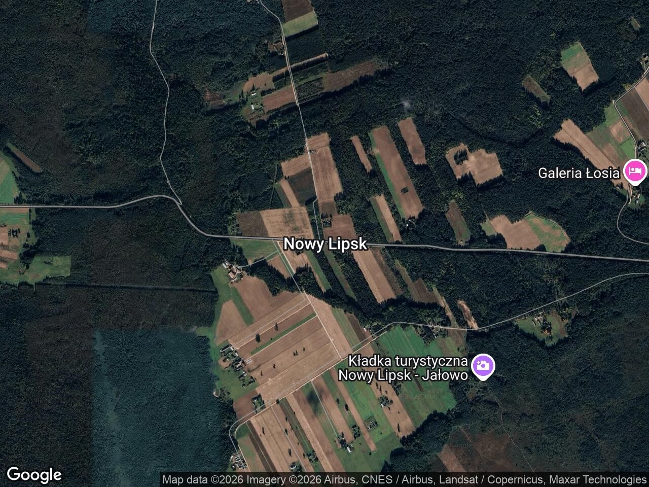 Działka leśna Nowy Lipsk. Zdjęcie 1