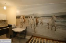 Lokal Pudliszki, ul. Krobska. Zdjęcie 2