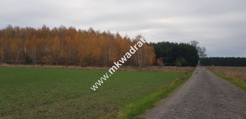 Działka budowlana Holendry Baranowskie. Zdjęcie 9