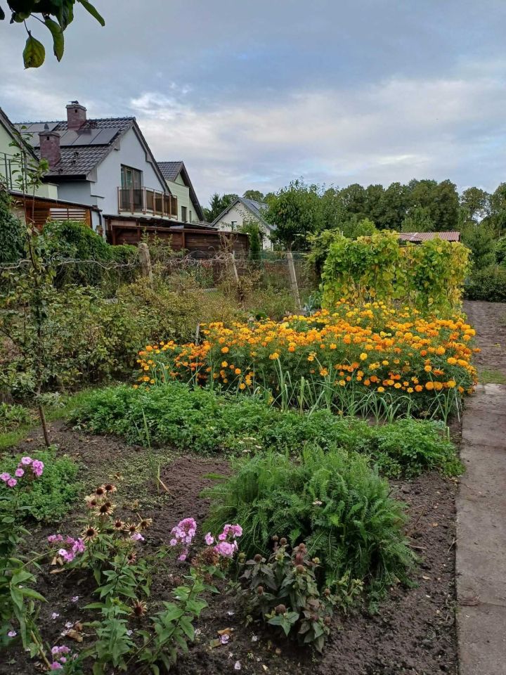 Działka rod Stargard, ul. Grunwaldzka. Zdjęcie 7