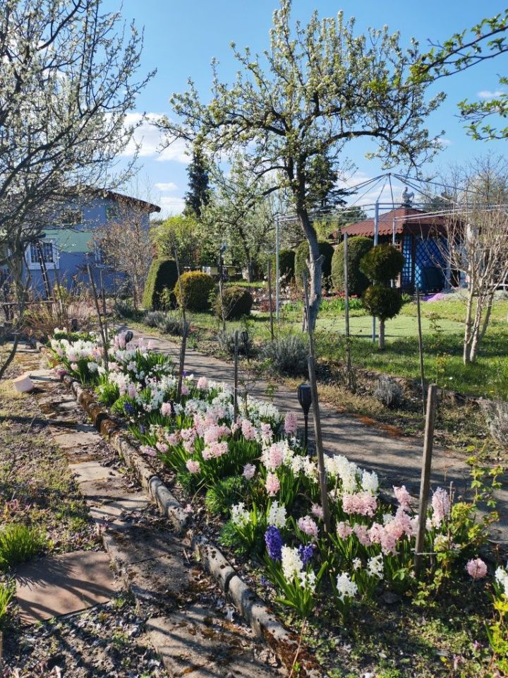 Działka rod Dąbrowa Górnicza. Zdjęcie 8