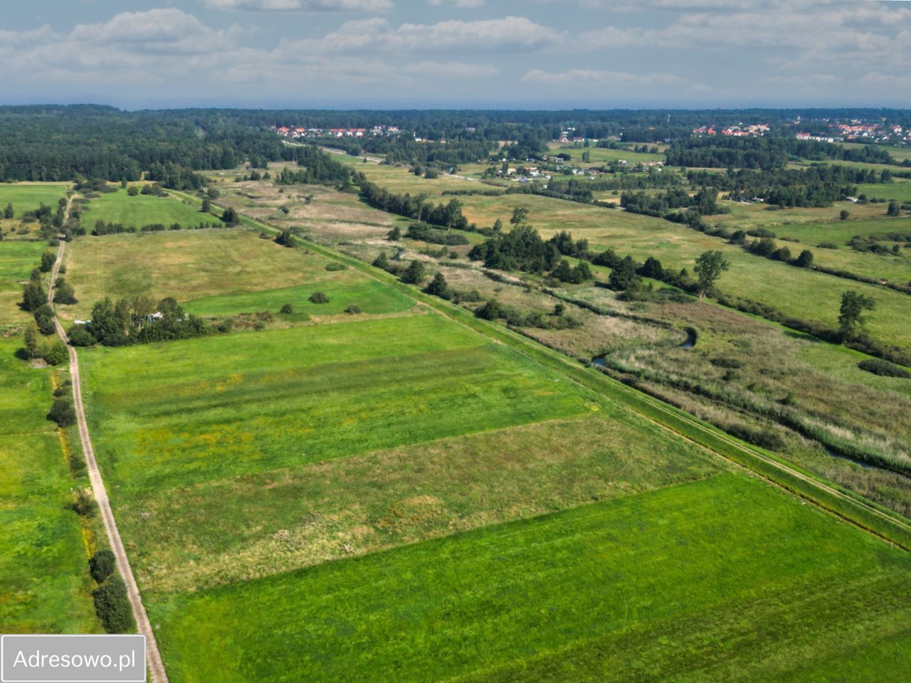 Działka rolna Dębki. Zdjęcie 5