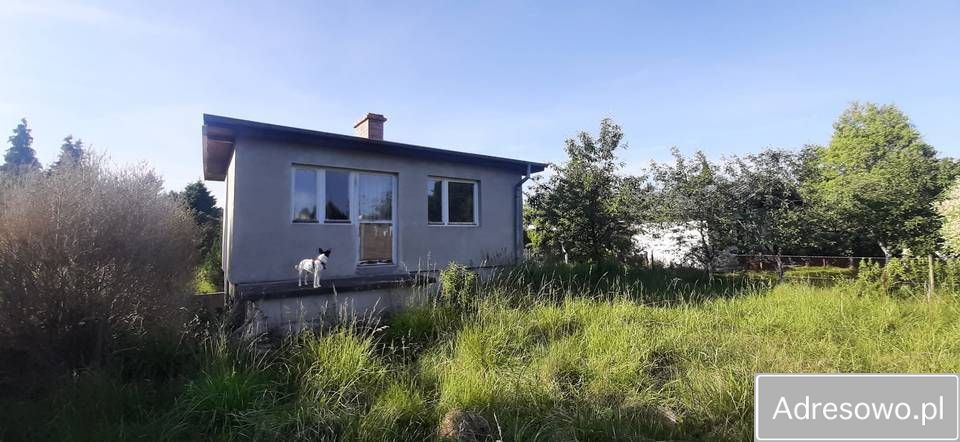 Działka rod Drzewce. Zdjęcie 3