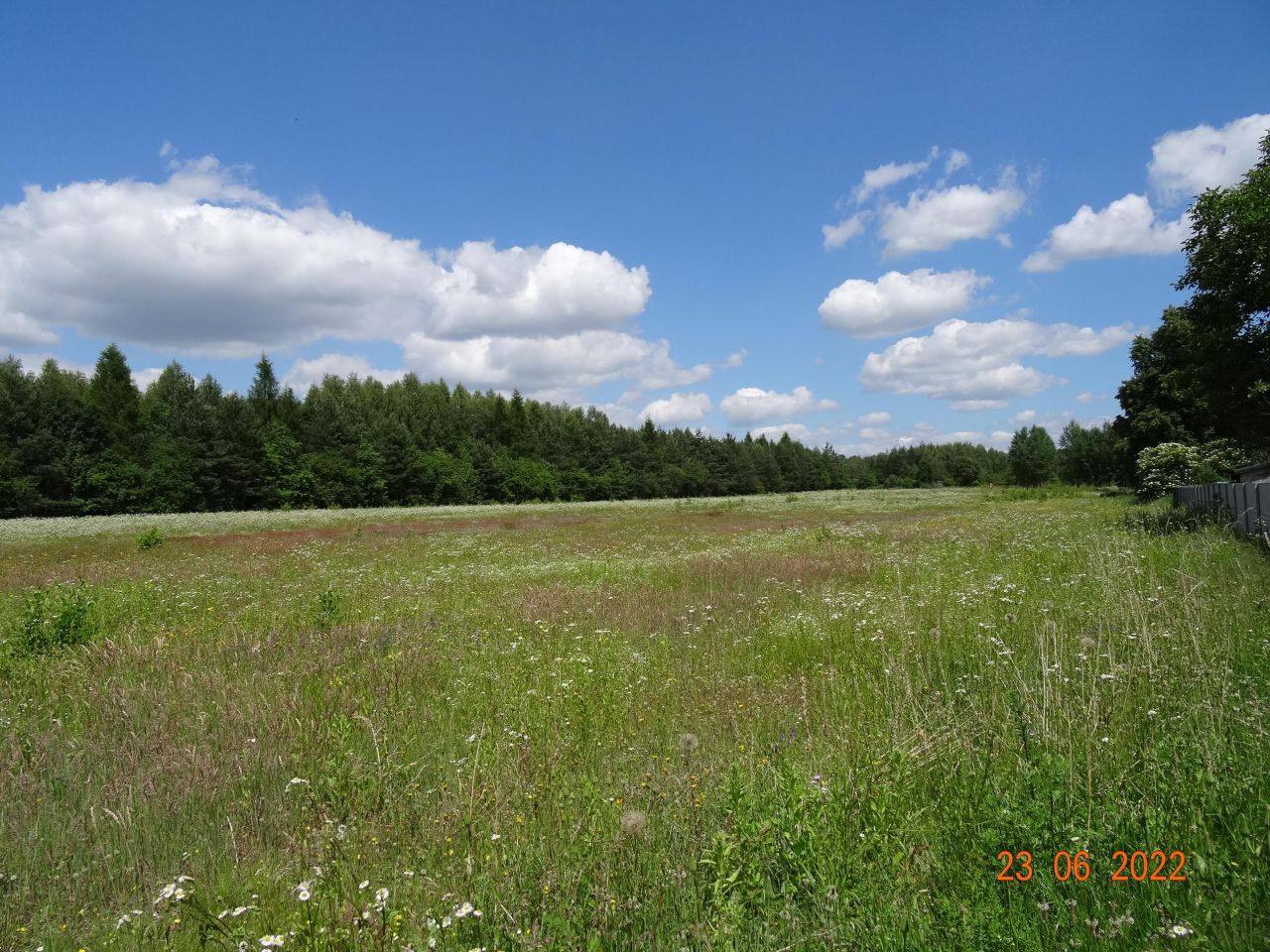 Działka budowlana Mława Studzieniec, ul. Studzieniec. Zdjęcie 4