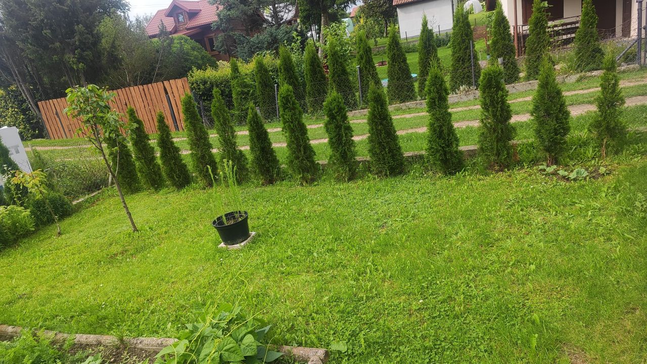 Działka rod Lasowiec. Zdjęcie 4