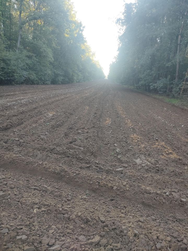 Działka rolna Jasionna. Zdjęcie 8