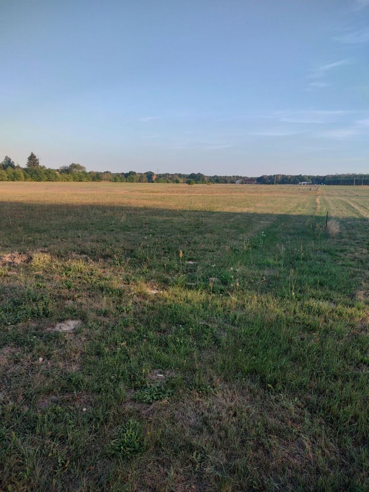 Działka budowlana Nowe Załubice, ul. Piwna. Zdjęcie 3