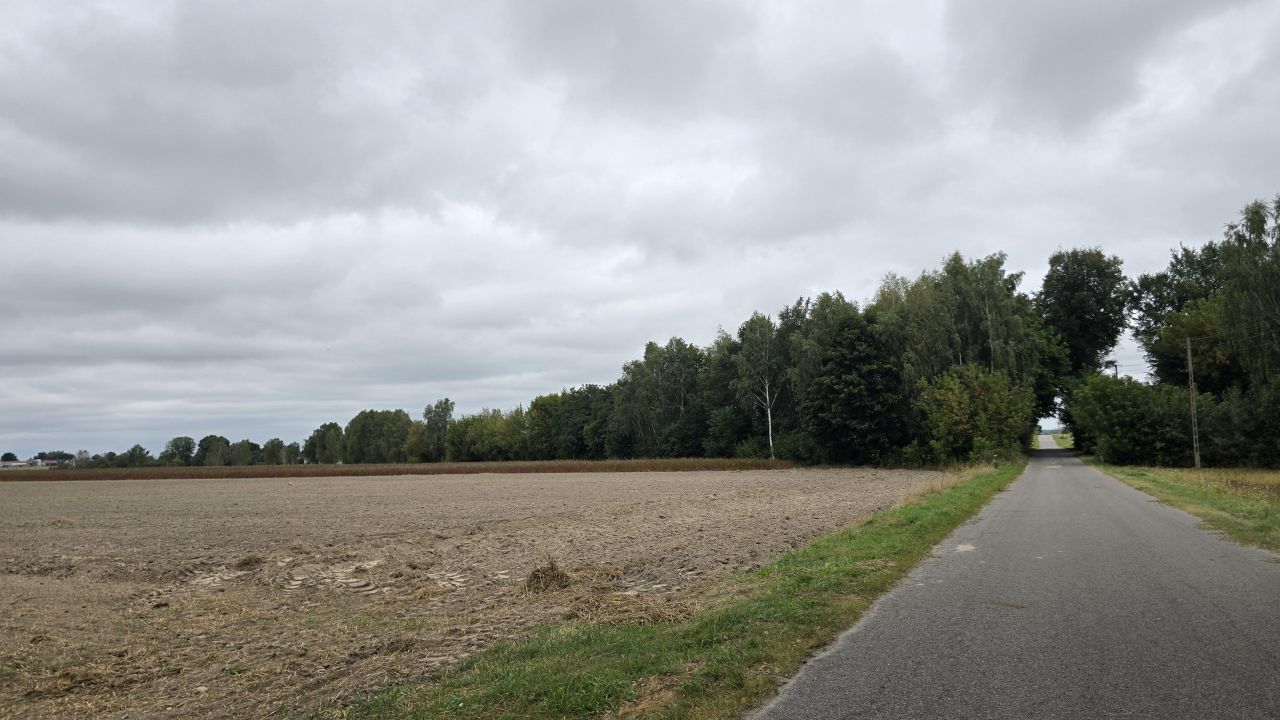 Działka rolno-budowlana Czemierniki, ul. Południowa Kolonia. Zdjęcie 2