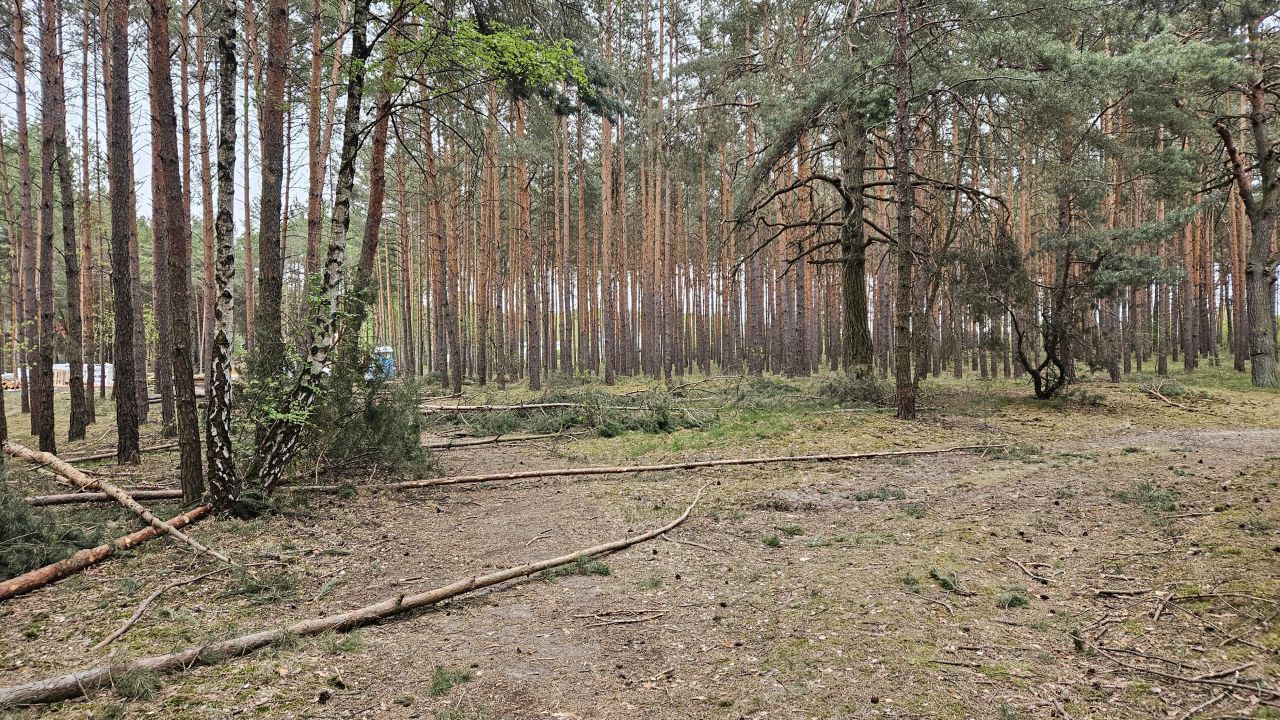 Działka budowlana Solec Kujawski, ul. Garbary. Zdjęcie 6