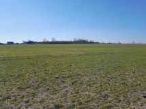 Działka budowlana Piękocin. Zdjęcie 3