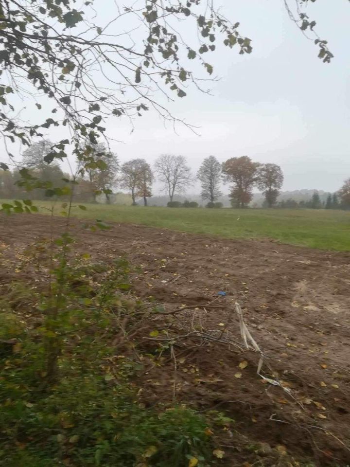 Działka rolna Rąbino. Zdjęcie 4