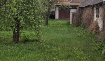 Działka siedliskowa Sidra