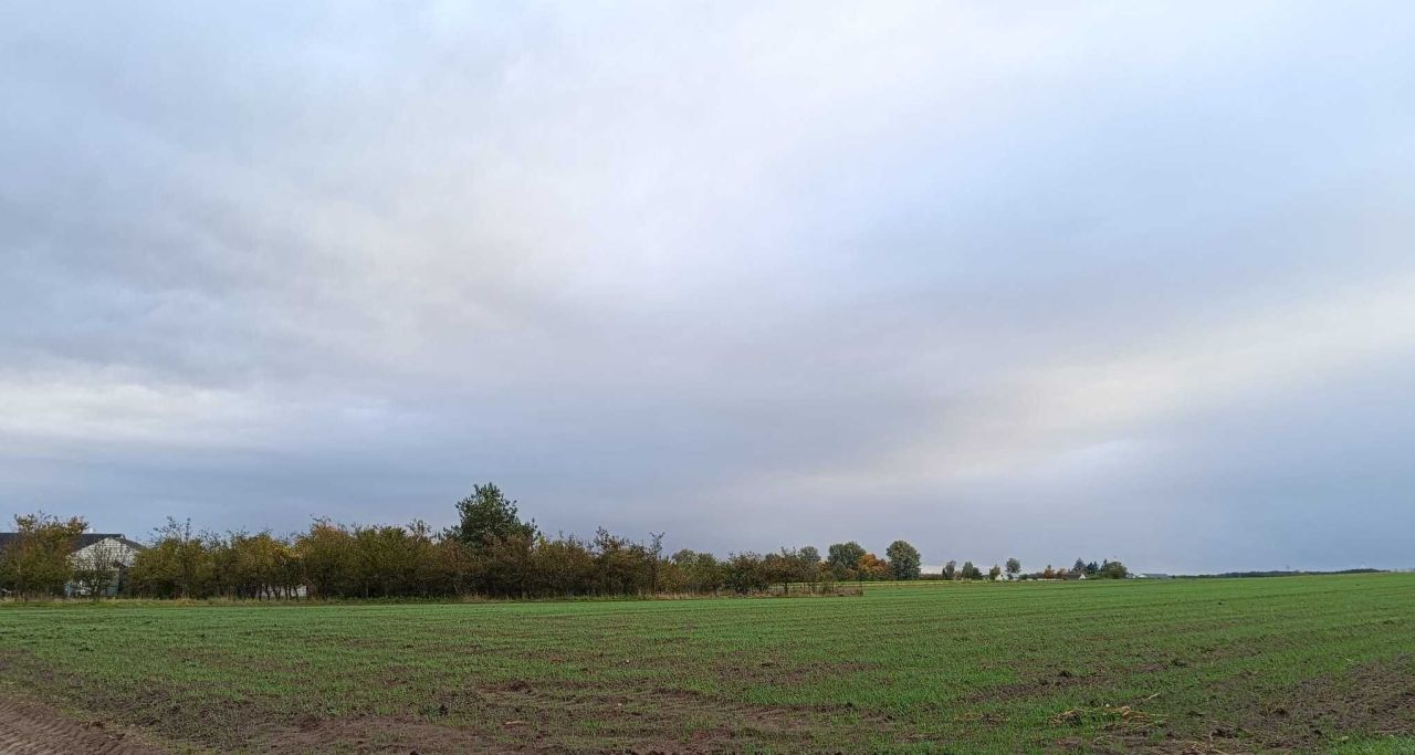 Działka budowlana Szczepankowo. Zdjęcie 2