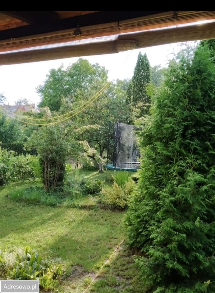 Działka rod Grudziądz, ul. Chełmińska. Zdjęcie 3