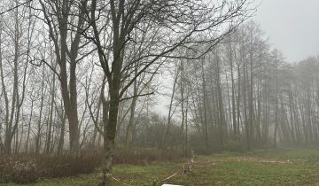 Działka rolna Bystrzanów, ul. Królewska