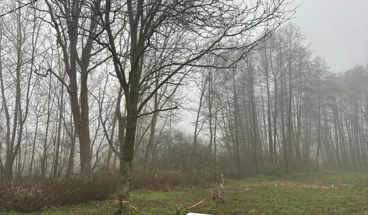 Działka rolna Bystrzanów, ul. Królewska