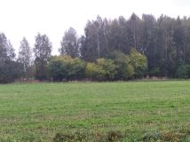 Działka budowlana Kamionka Ostrów, ul. Leśna. Zdjęcie 1