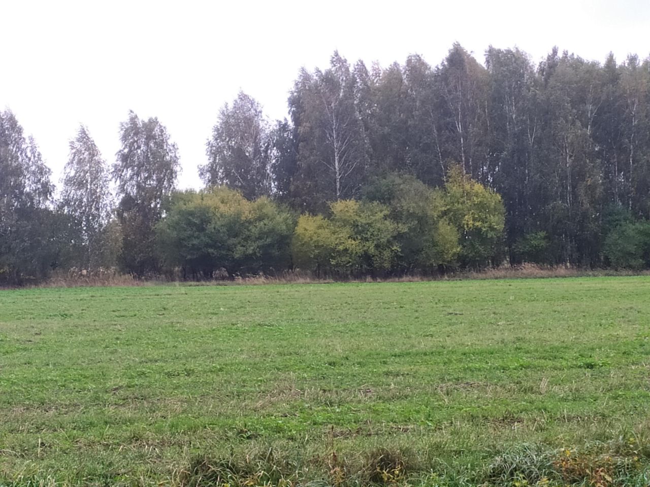Działka budowlana Kamionka Ostrów, ul. Leśna. Zdjęcie 2