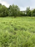 Działka rolno-budowlana Barcice Drwalewskie. Zdjęcie 2