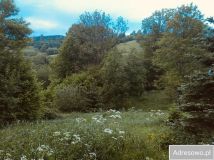 Działka leśna Polana. Zdjęcie 1