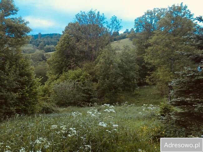Działka leśna Polana. Zdjęcie 2