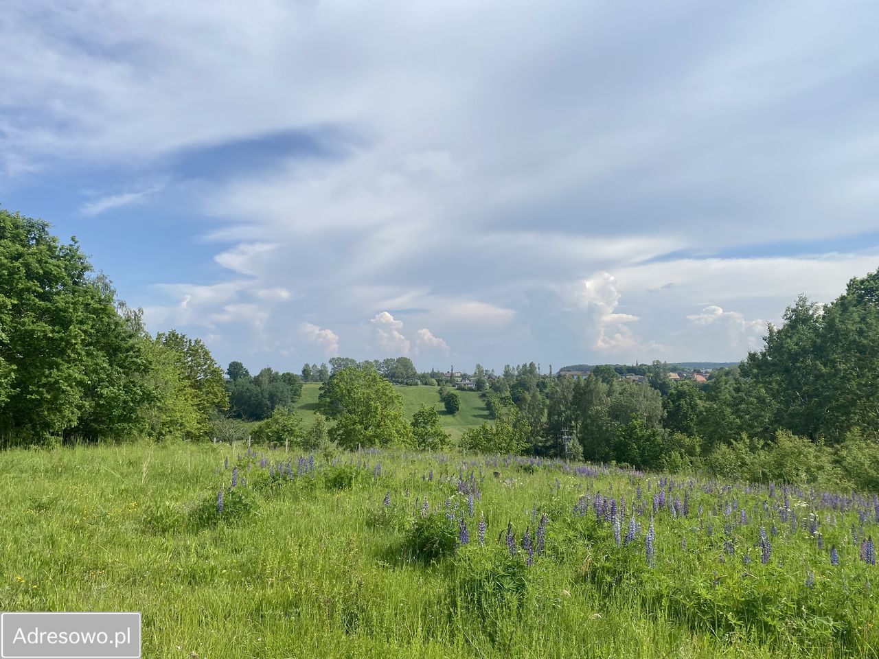 Działka budowlana Mierzeszyn