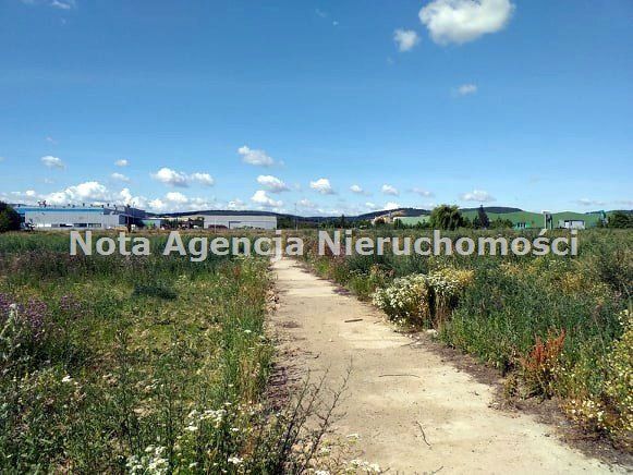 Działka inwestycyjna Świebodzice Ciernie. Zdjęcie 3