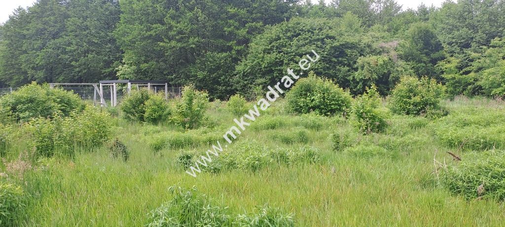 Działka budowlana Stara Wieś, ul. Olchowa. Zdjęcie 2