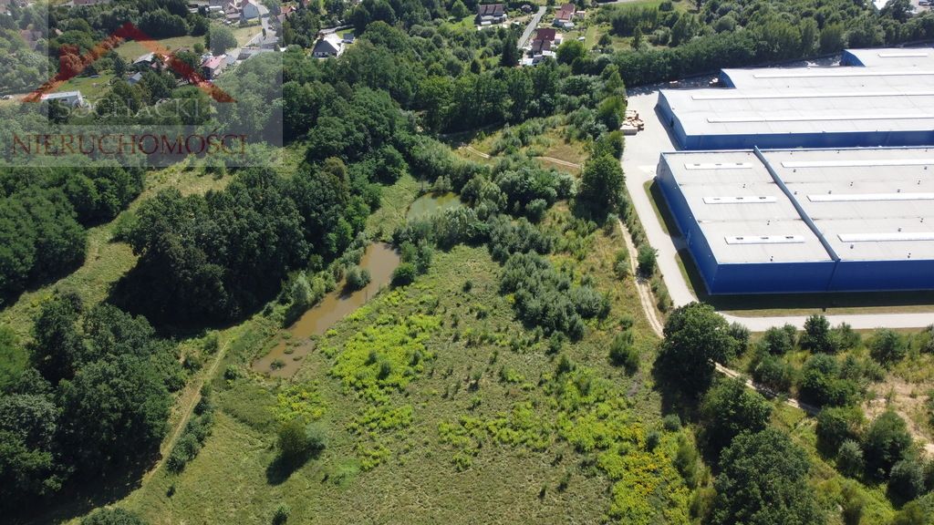 Działka budowlana Olszyna. Zdjęcie 5