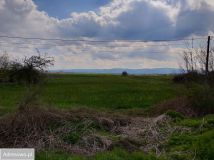 Działka budowlana Jaźwina. Zdjęcie 2