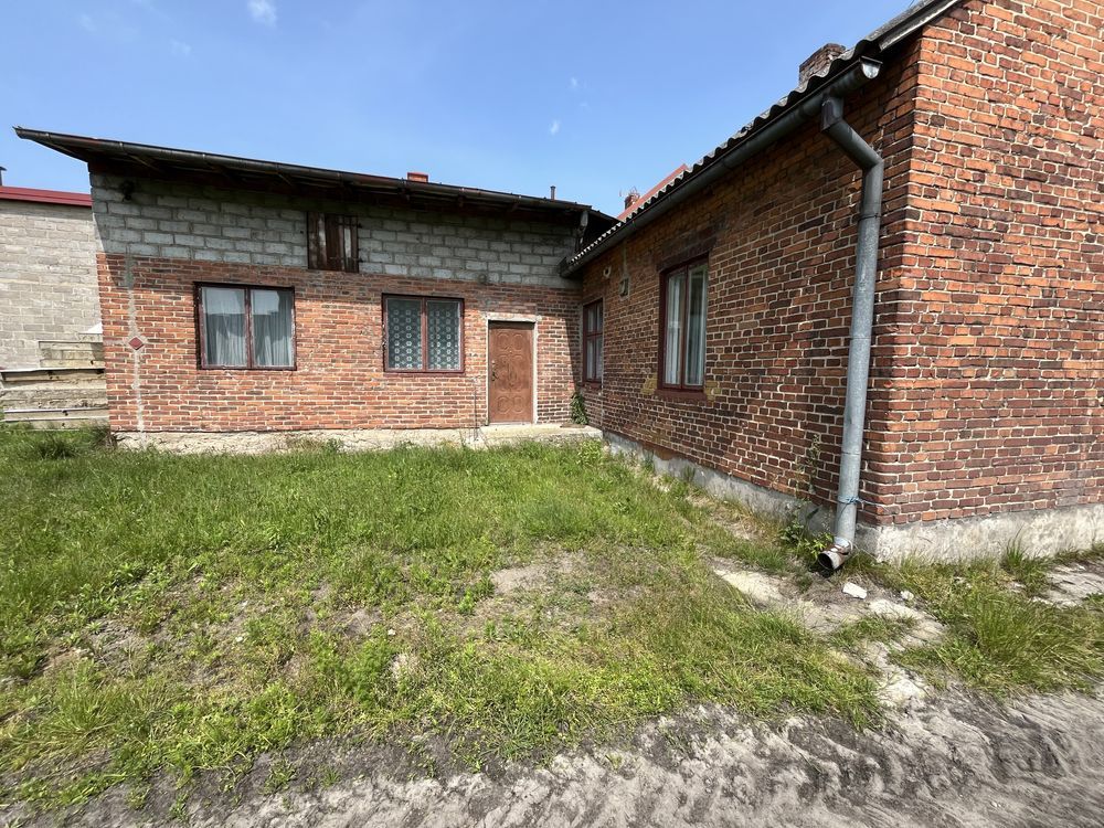 gospodarstwo Delfina. Zdjęcie 5