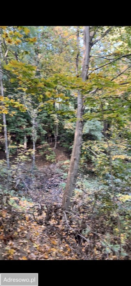 Działka Raciborsko. Zdjęcie 6