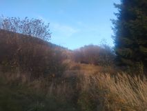 Działka budowlana Radochów. Zdjęcie 1