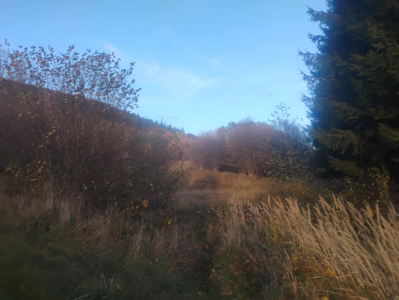 Działka budowlana Radochów. Zdjęcie 2