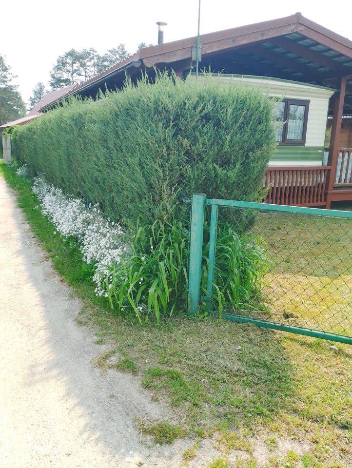 Działka rekreacyjna Martiany. Zdjęcie 4