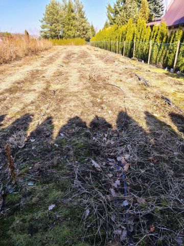 Działka rekreacyjna Białystok Jaroszówka. Zdjęcie 1