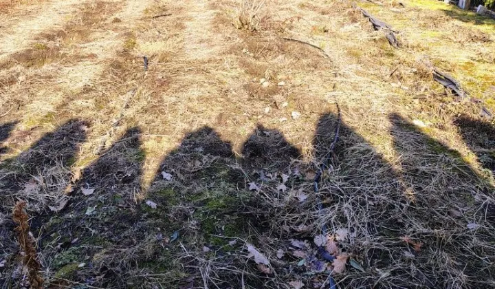 Działka rekreacyjna Białystok Jaroszówka