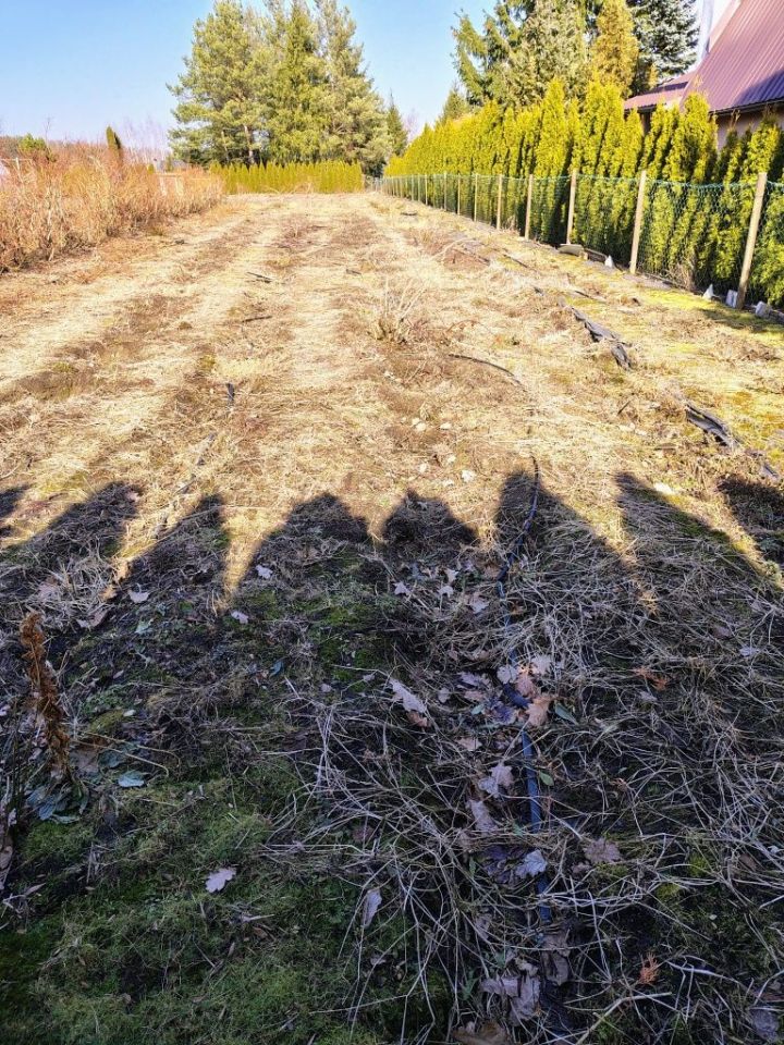 Działka rekreacyjna Białystok Jaroszówka. Zdjęcie 1