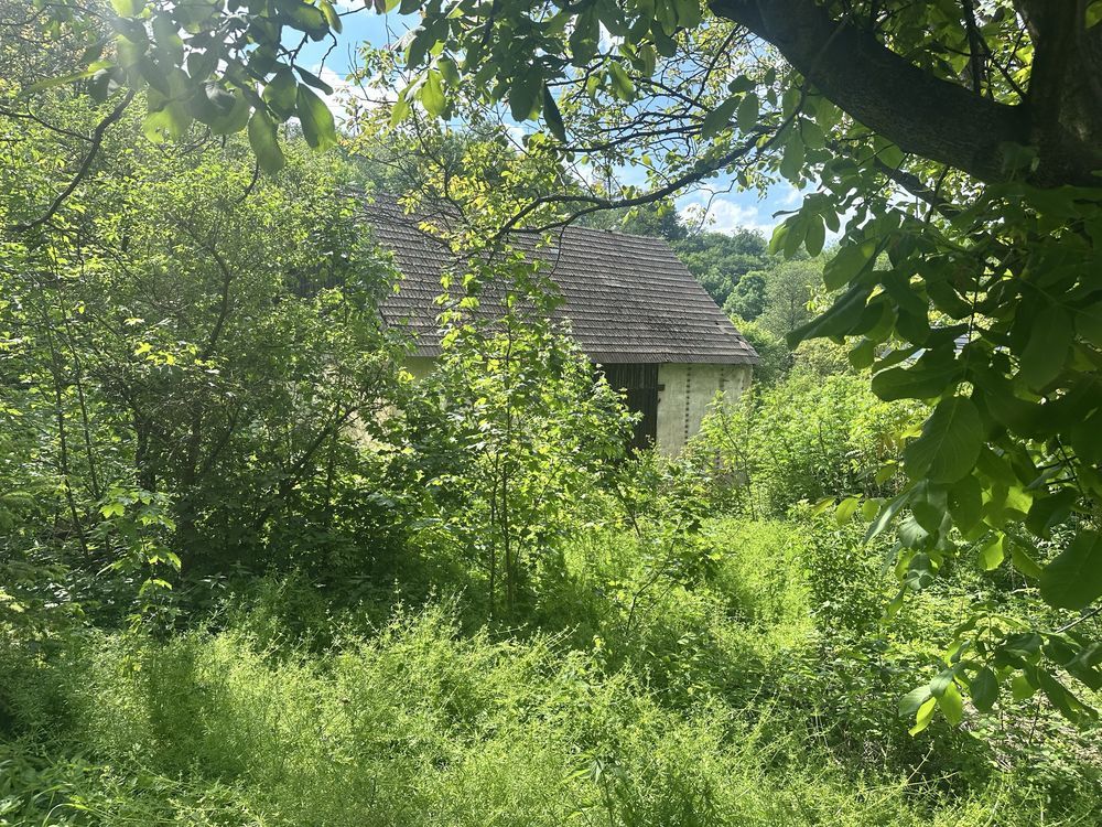 Nieruchomość komercyjna Muszkowice. Zdjęcie 8
