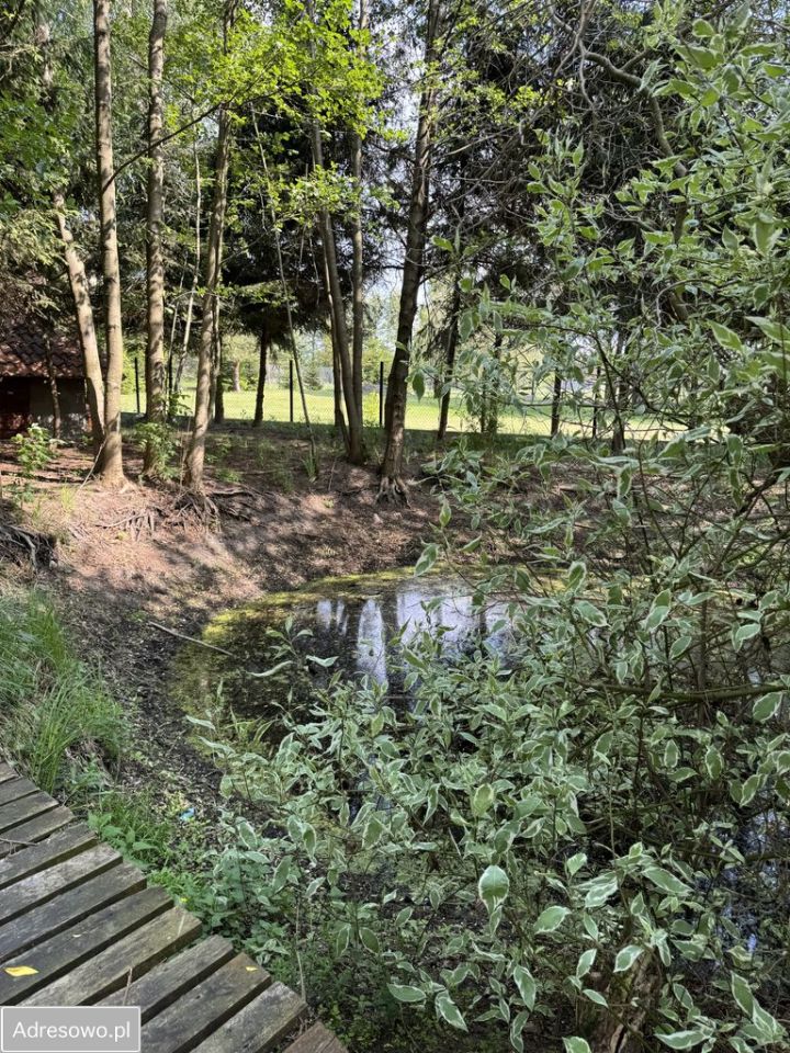 dom letniskowy, 3 pokoje Woźnawieś. Zdjęcie 11