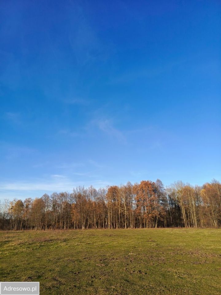 Działka siedliskowa Nowa Wieś. Zdjęcie 2
