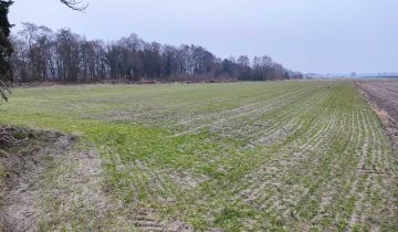 Działka budowlana Rawicz, ul. Henryka Sienkiewicza