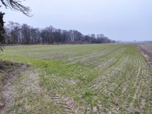 Działka budowlana Rawicz, ul. Henryka Sienkiewicza