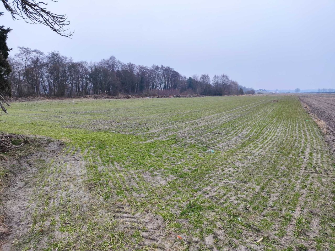 Działka budowlana Folwark