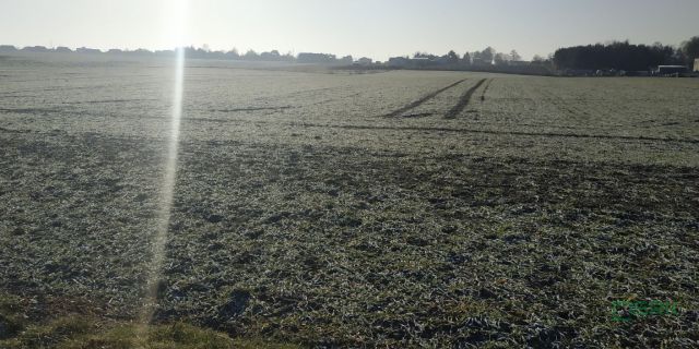 Działka Suszec, ul. Szkolna. Zdjęcie 3