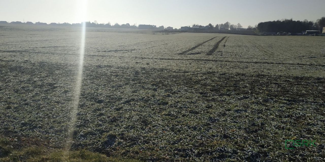 Działka Suszec, ul. Szkolna. Zdjęcie 3