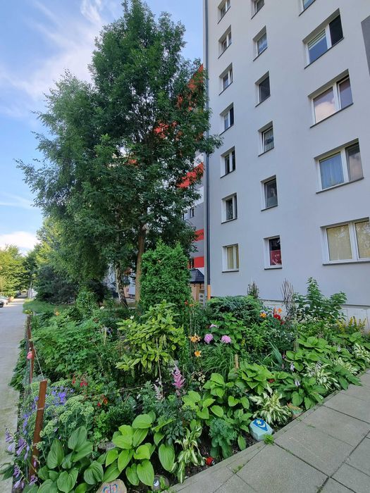 Mieszkanie 2-pokojowe Tarnów, ul. Westerplatte. Zdjęcie 6