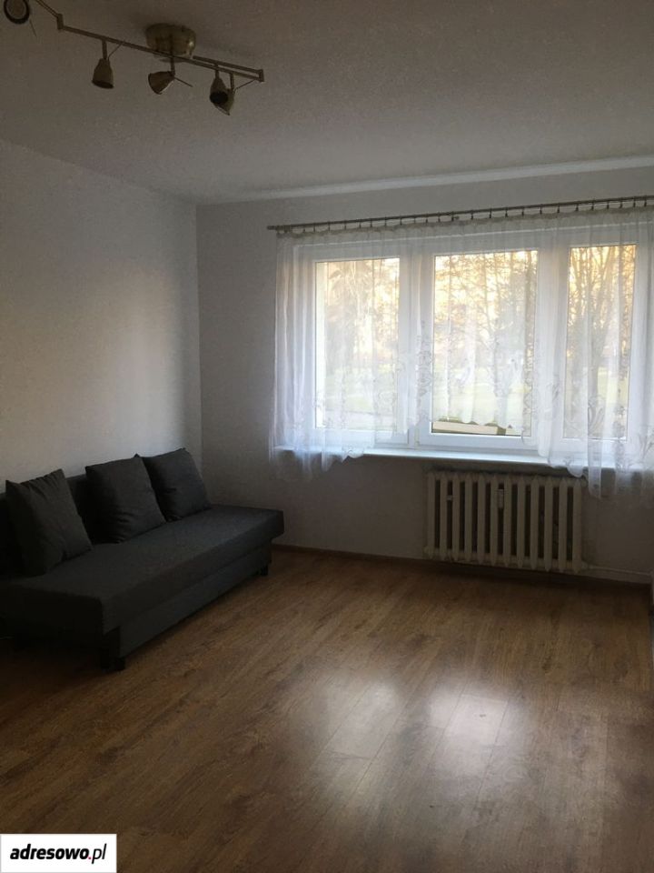Zdjęcie 5