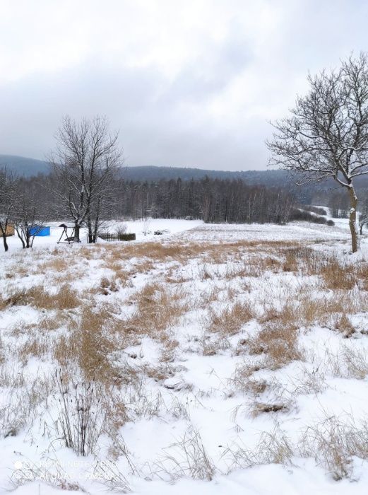 Działka rolno-budowlana Zagórze. Zdjęcie 4