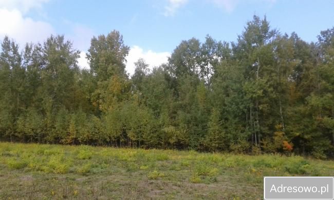 Działka Zagórzany. Zdjęcie 4
